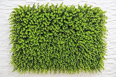 索尼公布新游戏显示器和耳机 面向PC玩家